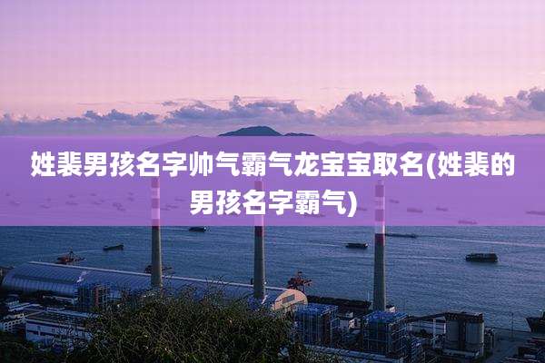 姓裴男孩名字帅气霸气龙宝宝取名(姓裴的男孩名字霸气)