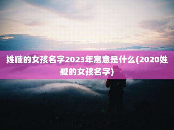 姓臧的女孩名字2023年寓意是什么(2020姓臧的女孩名字)