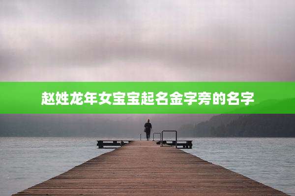 赵姓龙年女宝宝起名金字旁的名字