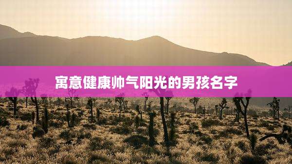 寓意健康帅气阳光的男孩名字