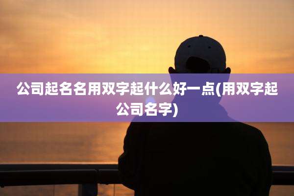 公司起名名用双字起什么好一点(用双字起公司名字)