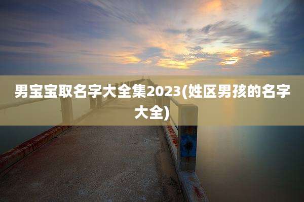 男宝宝取名字大全集2023(姓区男孩的名字大全)