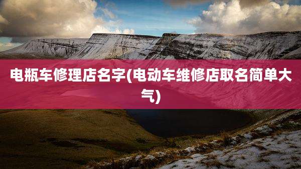 电瓶车修理店名字(电动车维修店取名简单大气)