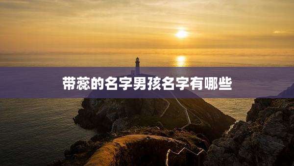 带蕊的名字男孩名字有哪些
