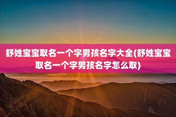 舒姓宝宝取名一个字男孩名字大全(舒姓宝宝取名一个字男孩名字怎么取)