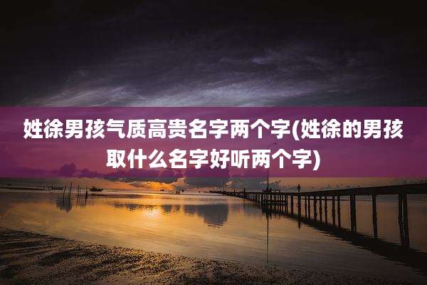 姓徐男孩气质高贵名字两个字(姓徐的男孩取什么名字好听两个字)