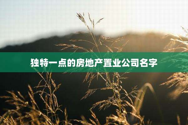 独特一点的房地产置业公司名字