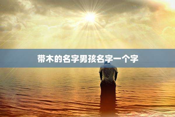 带木的名字男孩名字一个字