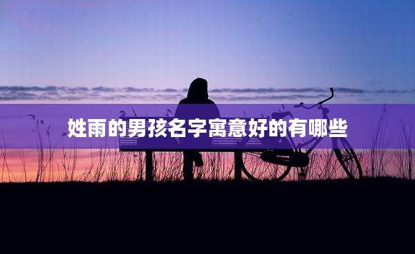 姓雨的男孩名字寓意好的有哪些