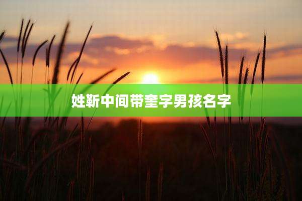 姓靳中间带奎字男孩名字