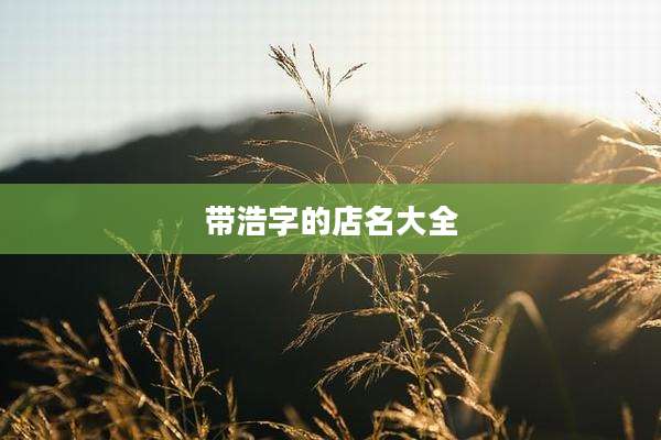 带浩字的店名大全