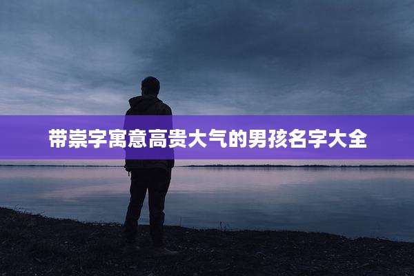 带崇字寓意高贵大气的男孩名字大全