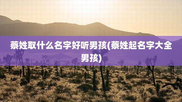 蔡姓取什么名字好听男孩(蔡姓起名字大全男孩)