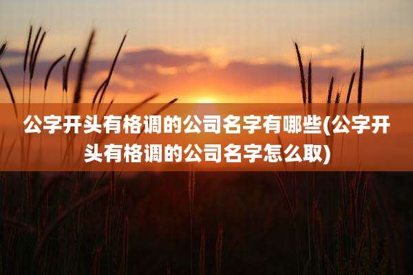 公字开头有格调的公司名字有哪些(公字开头有格调的公司名字怎么取)