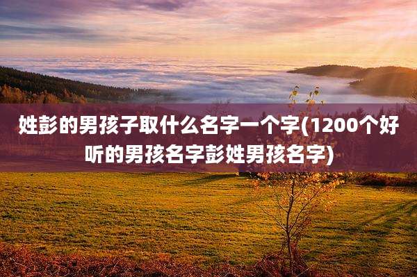 姓彭的男孩子取什么名字一个字(1200个好听的男孩名字彭姓男孩名字)