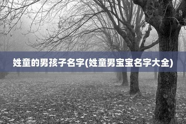 姓童的男孩子名字(姓童男宝宝名字大全)
