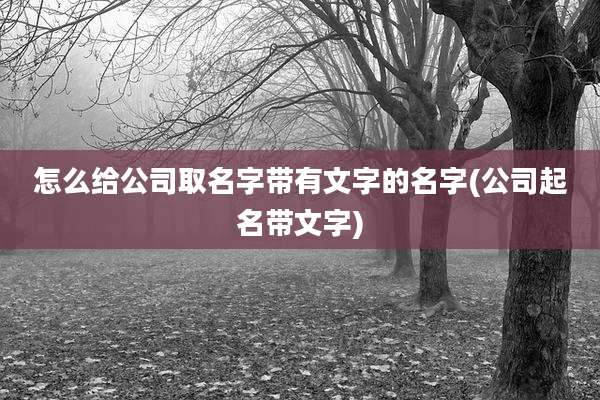 怎么给公司取名字带有文字的名字(公司起名带文字)