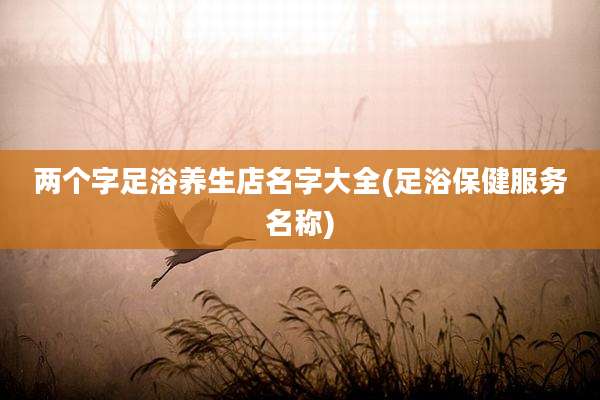 两个字足浴养生店名字大全(足浴保健服务名称)