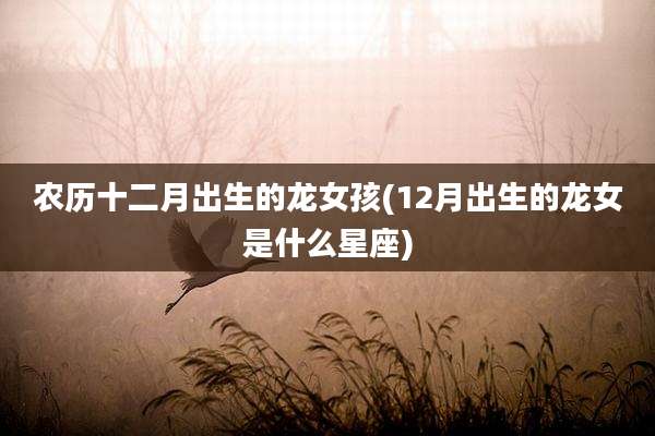 农历十二月出生的龙女孩(12月出生的龙女是什么星座)