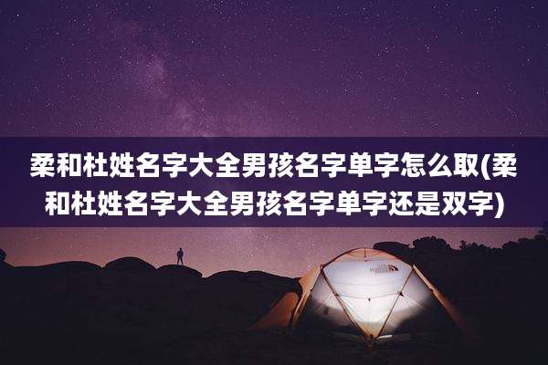 柔和杜姓名字大全男孩名字单字怎么取(柔和杜姓名字大全男孩名字单字还是双字)