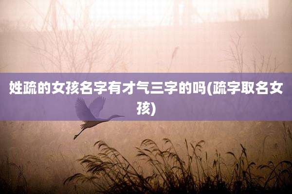 姓疏的女孩名字有才气三字的吗(疏字取名女孩)
