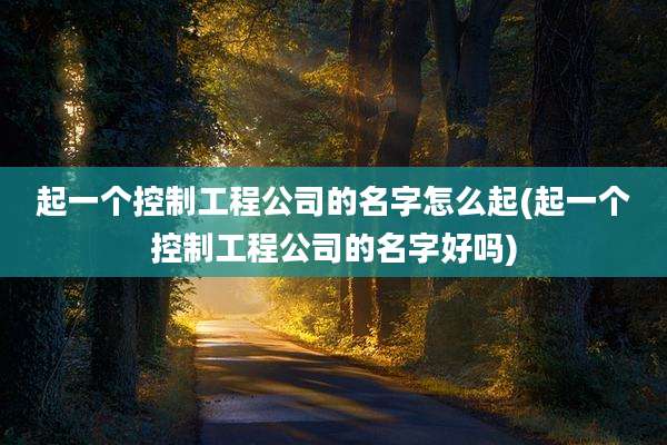 起一个控制工程公司的名字怎么起(起一个控制工程公司的名字好吗)
