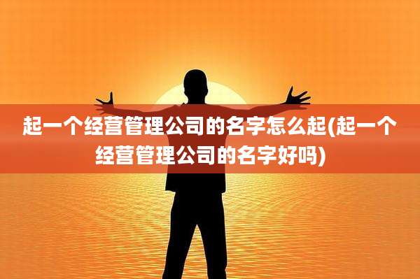 起一个经营管理公司的名字怎么起(起一个经营管理公司的名字好吗)