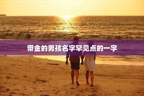 带金的男孩名字罕见点的一字