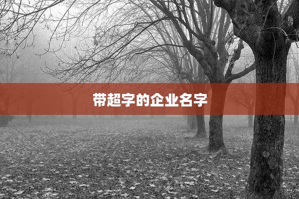 带超字的企业名字