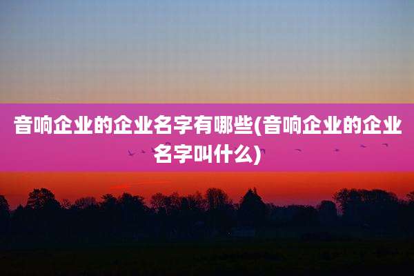 音响企业的企业名字有哪些(音响企业的企业名字叫什么)