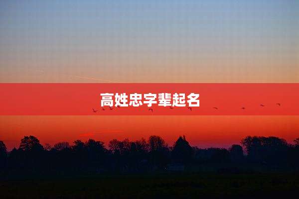 高姓忠字辈起名