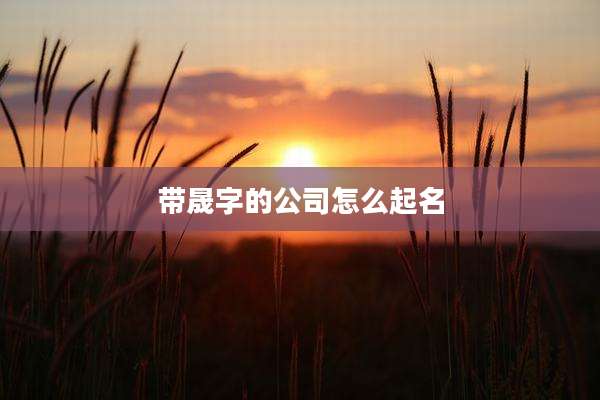 带晟字的公司怎么起名