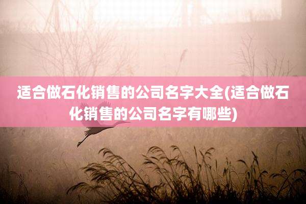 适合做石化销售的公司名字大全(适合做石化销售的公司名字有哪些)