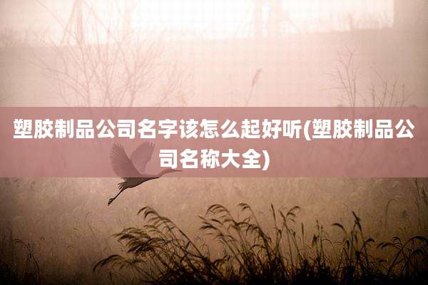 塑胶制品公司名字该怎么起好听(塑胶制品公司名称大全)