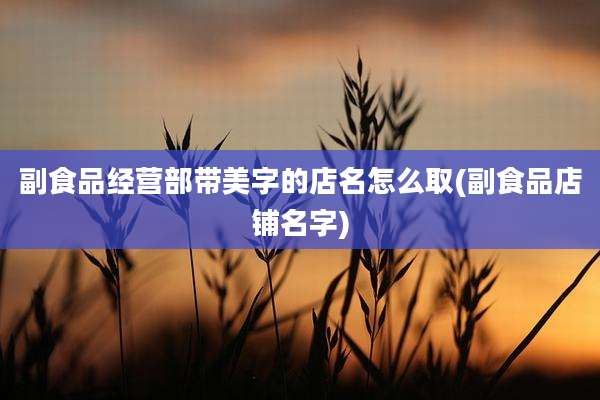 副食品经营部带美字的店名怎么取(副食品店铺名字)