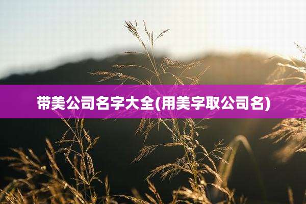 带美公司名字大全(用美字取公司名)