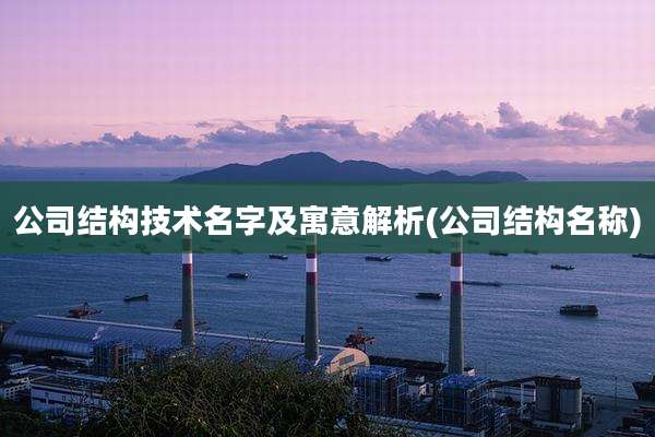 公司结构技术名字及寓意解析(公司结构名称)