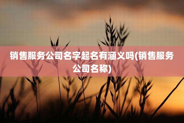 销售服务公司名字起名有涵义吗(销售服务公司名称)