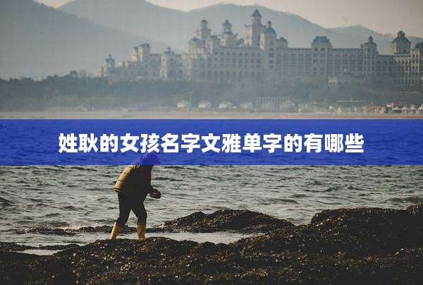 姓耿的女孩名字文雅单字的有哪些