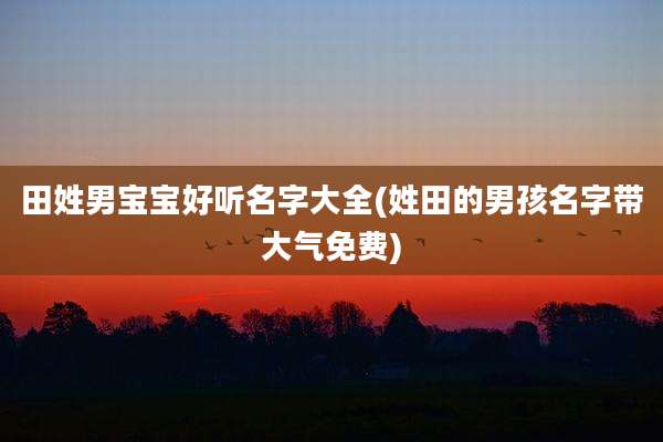田姓男宝宝好听名字大全(姓田的男孩名字带大气免费)