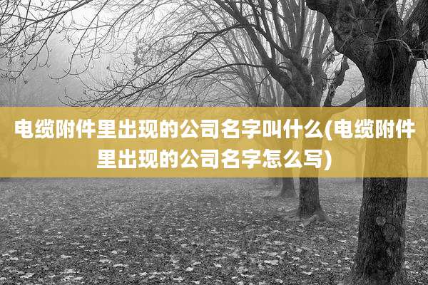 电缆附件里出现的公司名字叫什么(电缆附件里出现的公司名字怎么写)