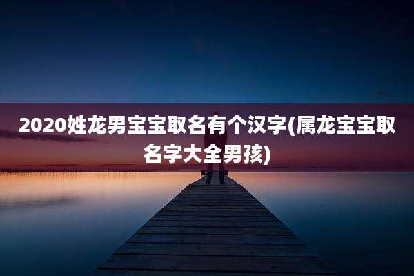 2020姓龙男宝宝取名有个汉字(属龙宝宝取名字大全男孩)