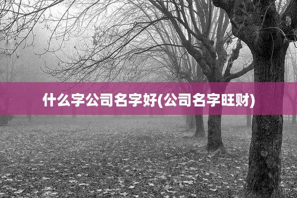 什么字公司名字好(公司名字旺财)