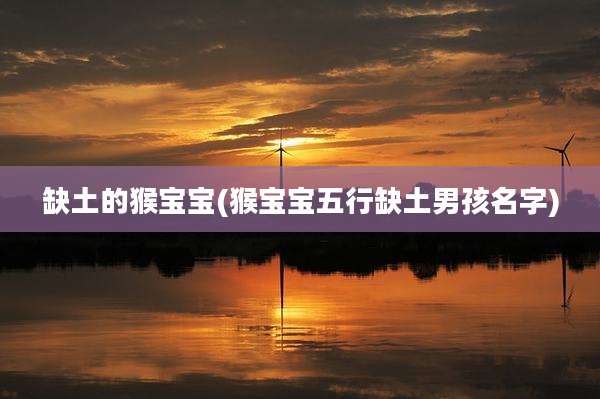 缺土的猴宝宝(猴宝宝五行缺土男孩名字)