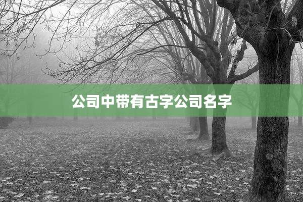 公司中带有古字公司名字