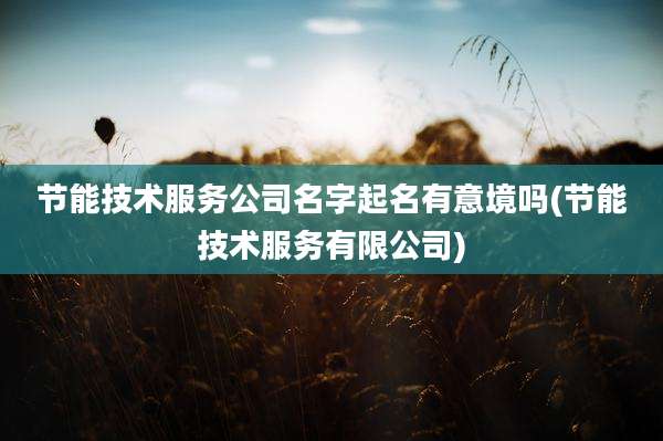 节能技术服务公司名字起名有意境吗(节能技术服务有限公司)