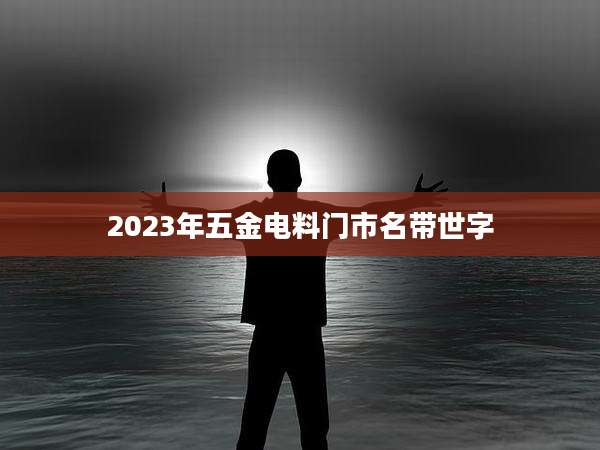 2023年五金电料门市名带世字