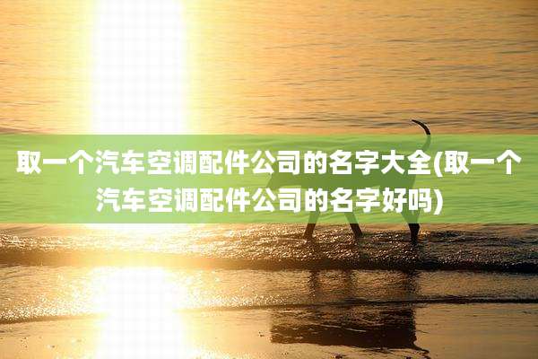 取一个汽车空调配件公司的名字大全(取一个汽车空调配件公司的名字好吗)