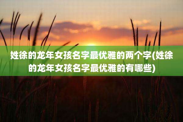姓徐的龙年女孩名字最优雅的两个字(姓徐的龙年女孩名字最优雅的有哪些)
