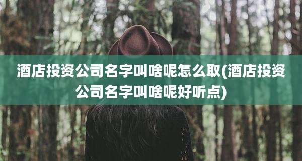 酒店投资公司名字叫啥呢怎么取(酒店投资公司名字叫啥呢好听点)